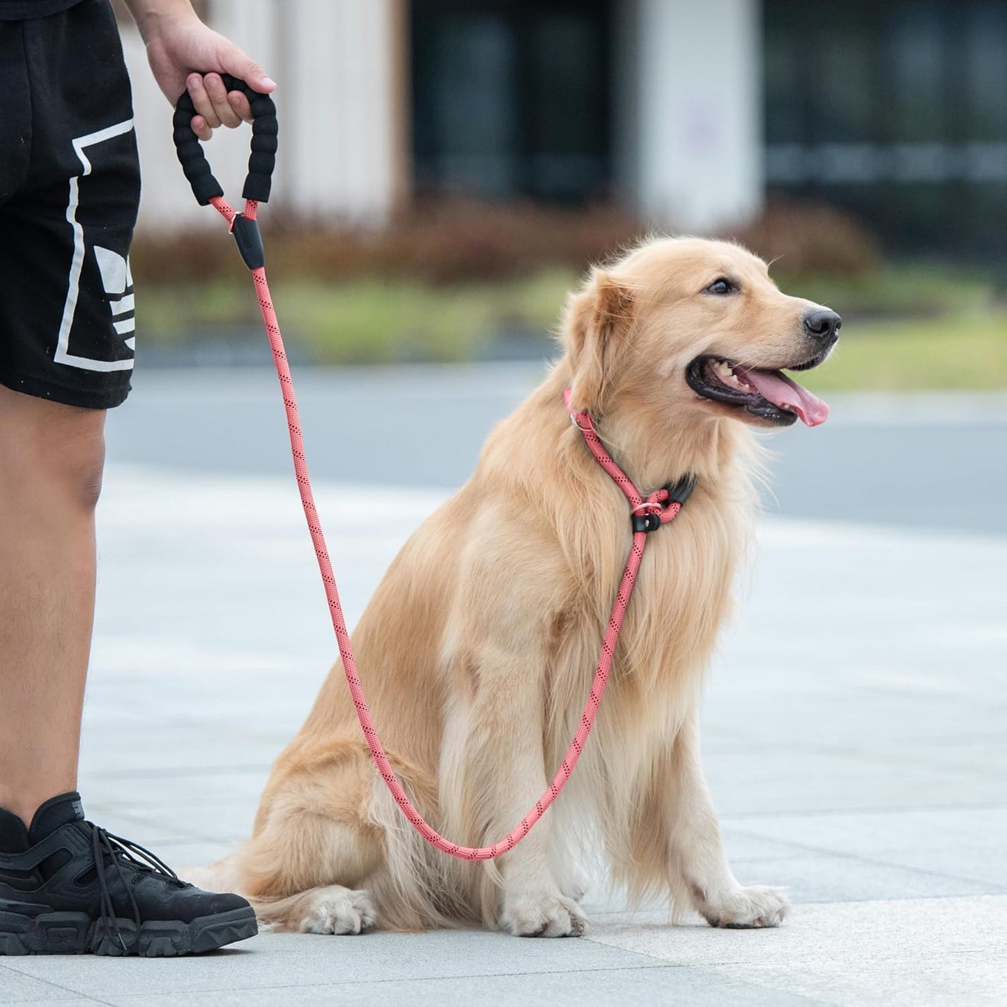 Iyoshop Durable Slip Lead Dog Leash with Padded Handle and Highly Reflective Threads, No Pull Dog Training Leash, (3/8" X 6 FT, Baby Pink)