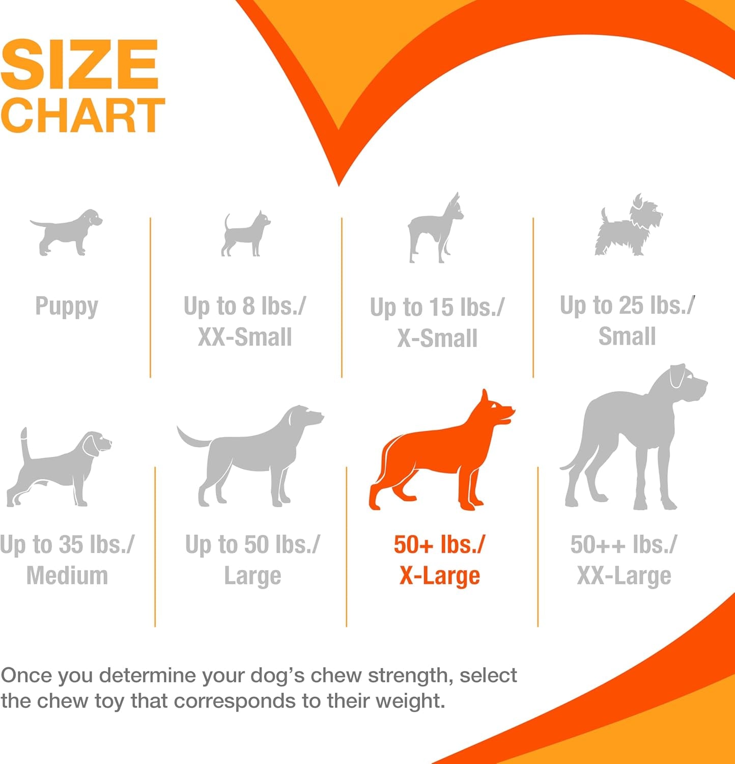 Nylabone Double Action Bone Power Chew Toy for Dogs