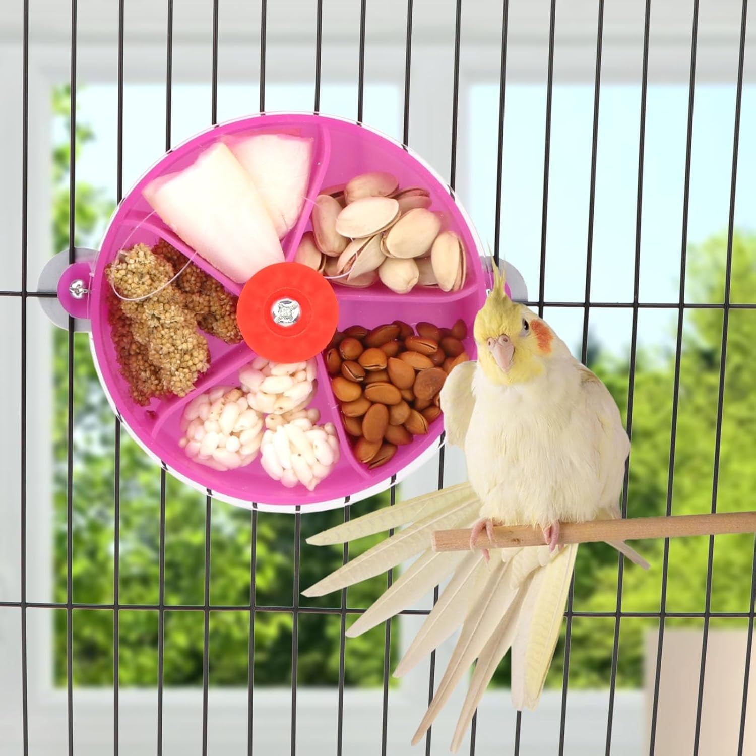 Bird Creative Foraging System Wheel Seed Food Ball Rotate Training Toy