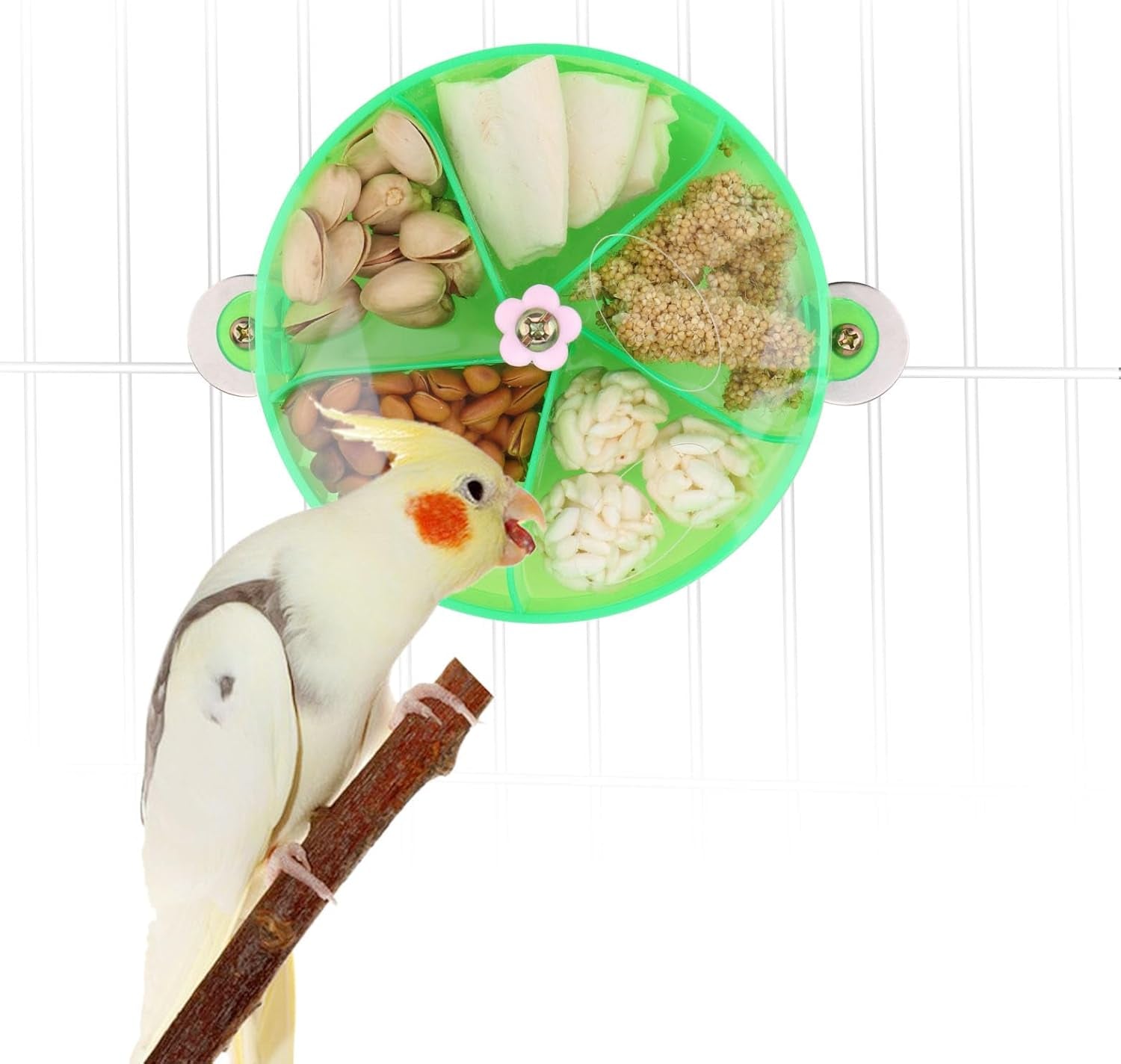 Bird Creative Foraging System Wheel Seed Food Ball Rotate Training Toy
