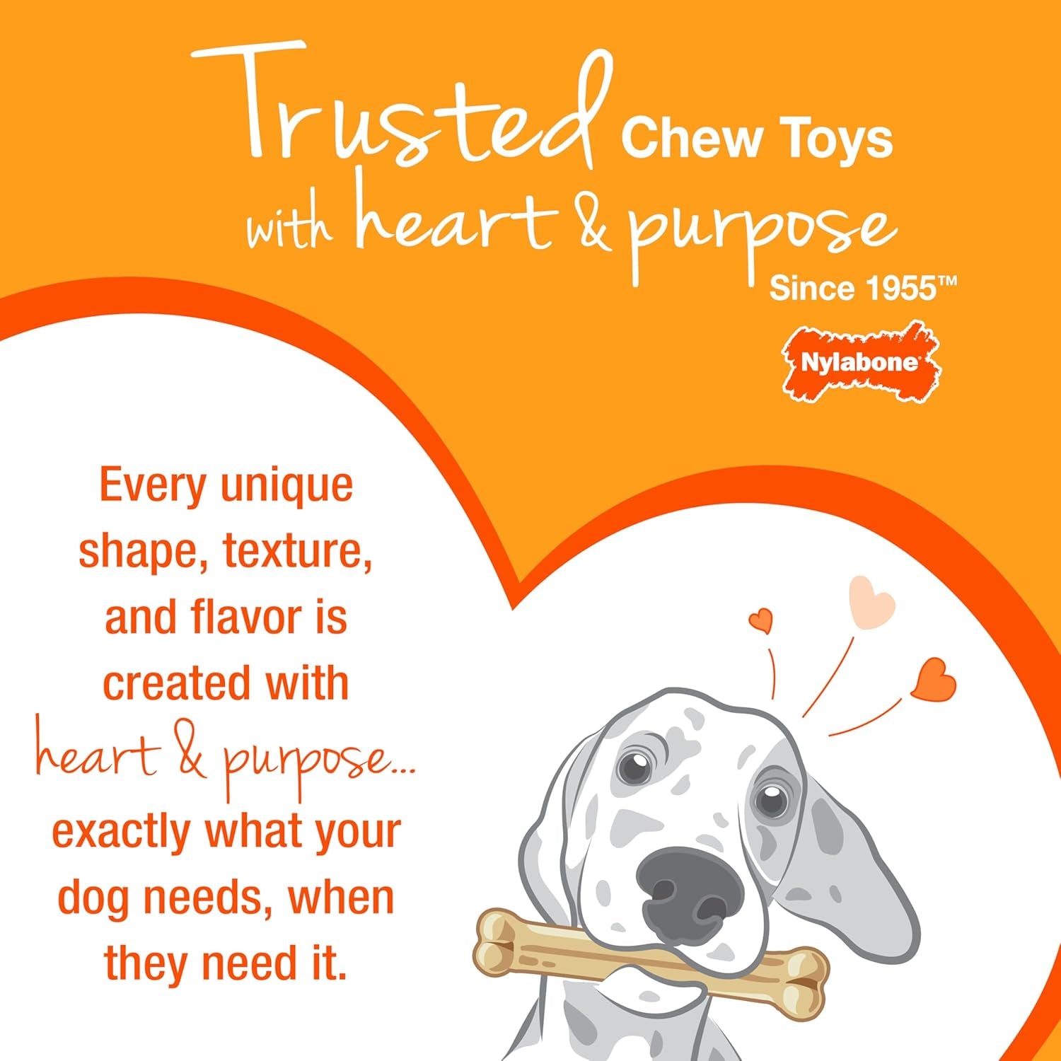 Nylabone Double Action Bone Power Chew Toy for Dogs