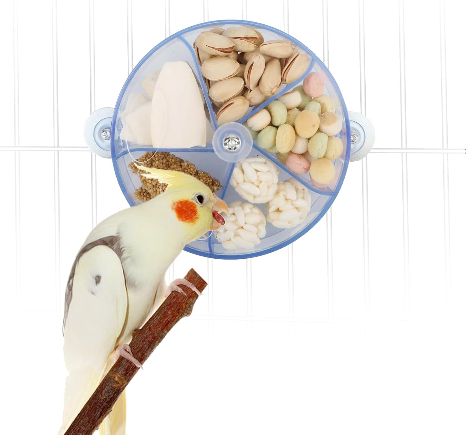 Bird Creative Foraging System Wheel Seed Food Ball Rotate Training Toy