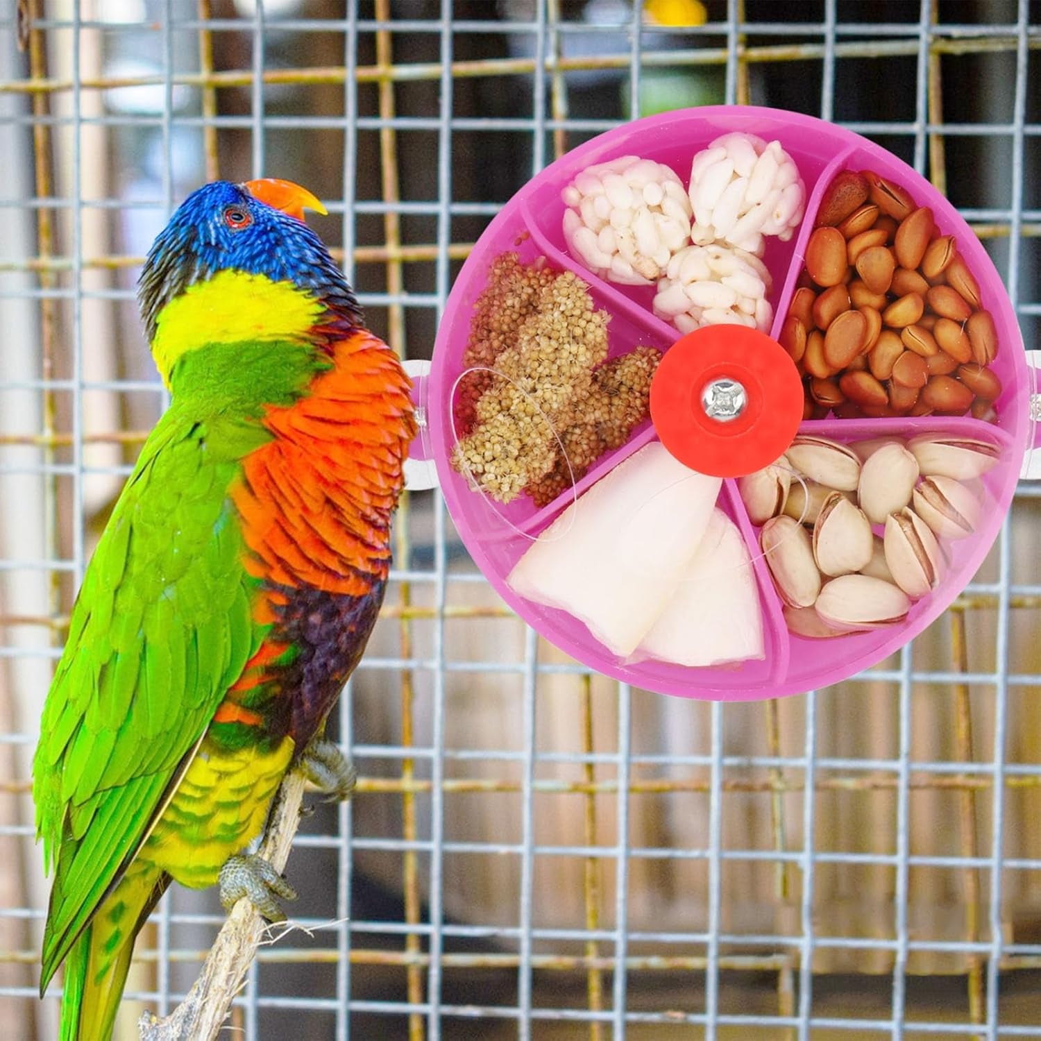 Bird Creative Foraging System Wheel Seed Food Ball Rotate Training Toy