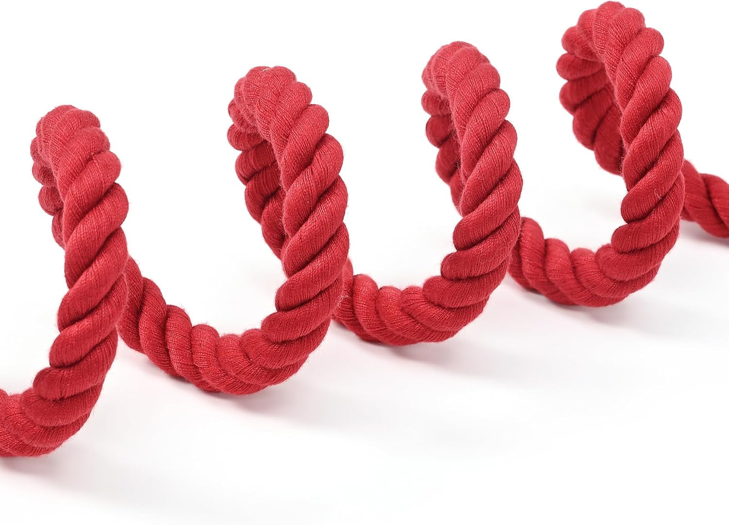 Mile High Life Dog Leash