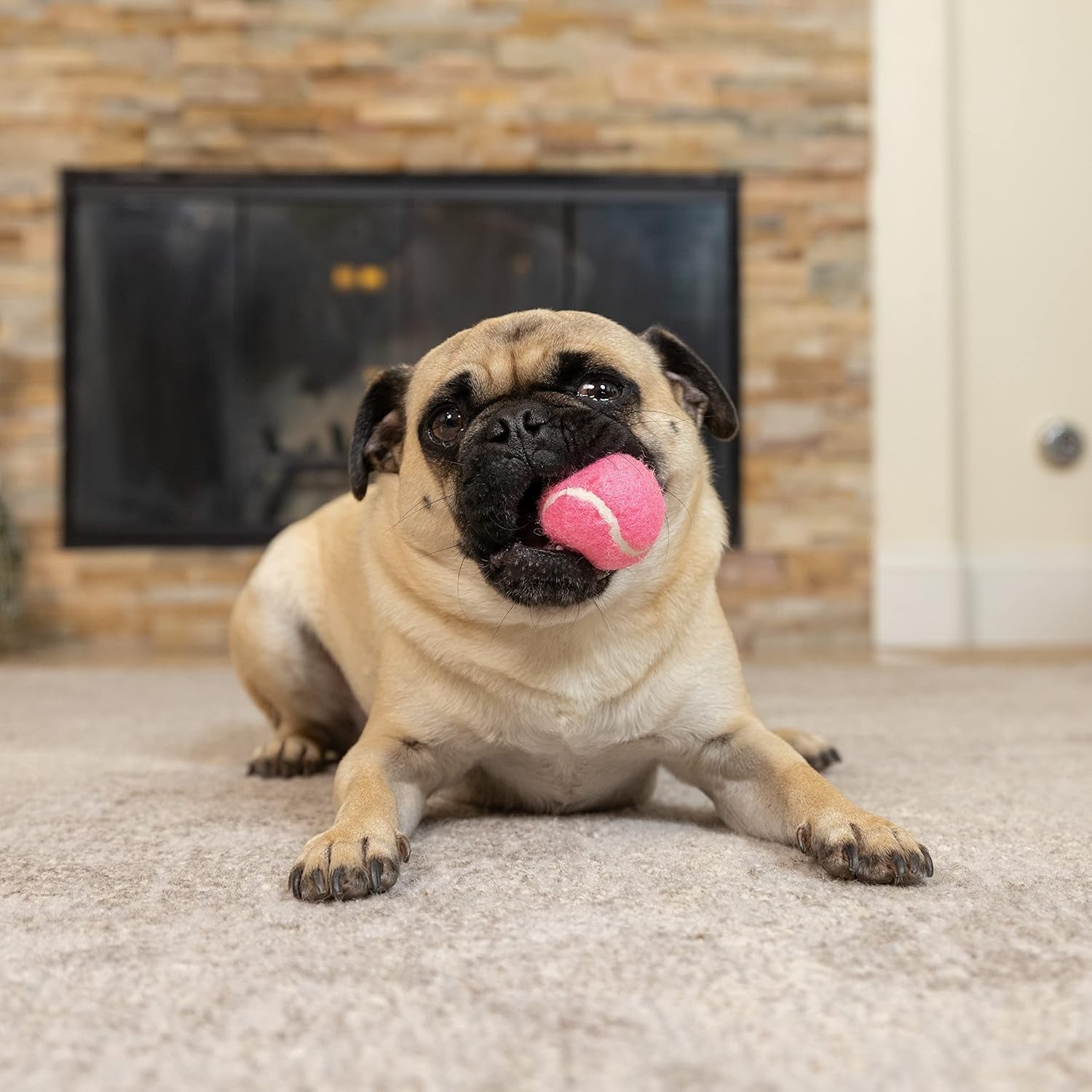 Hyper Pet MINI Tennis Balls for Dogs