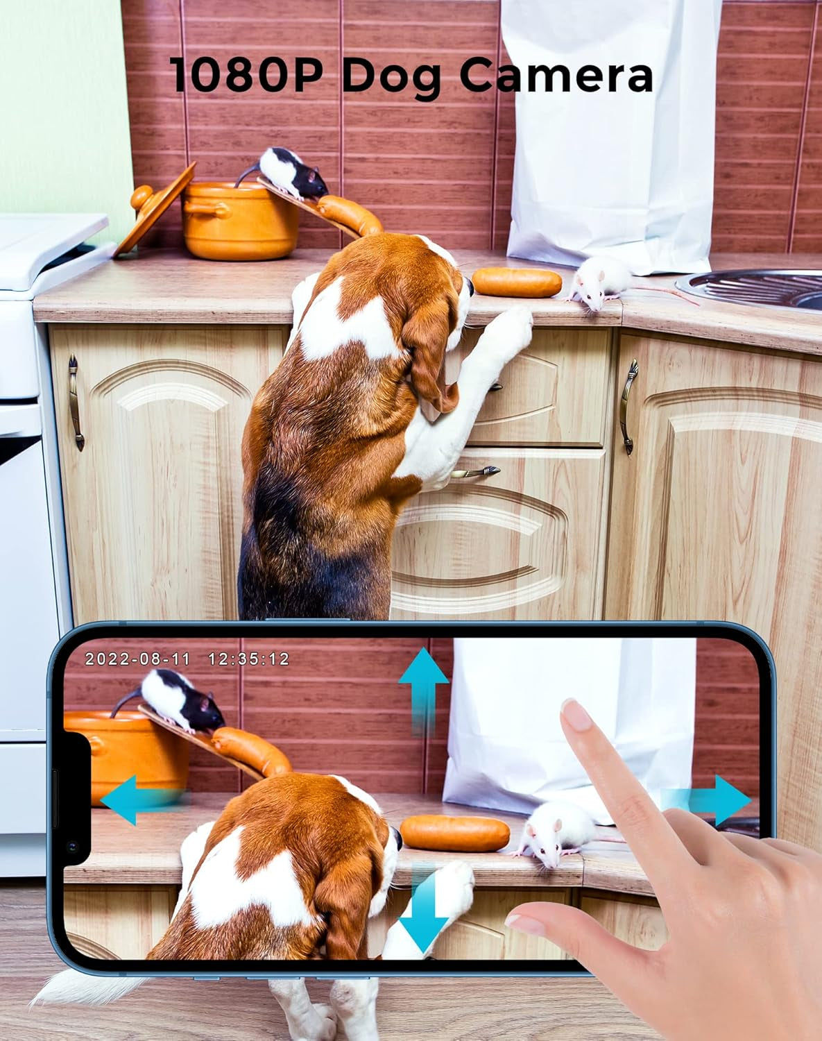 Home Security Camera System with Motion Detection