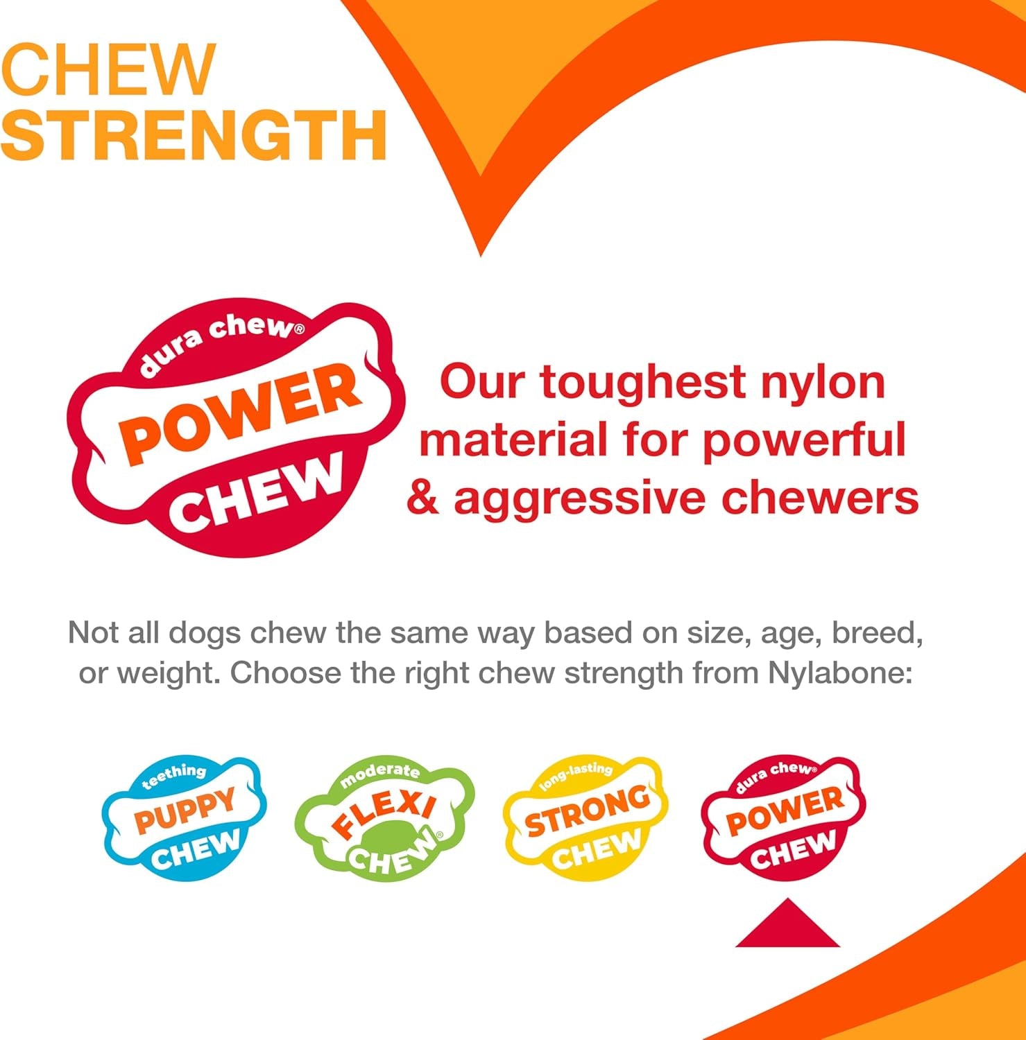 Nylabone Double Action Bone Power Chew Toy for Dogs
