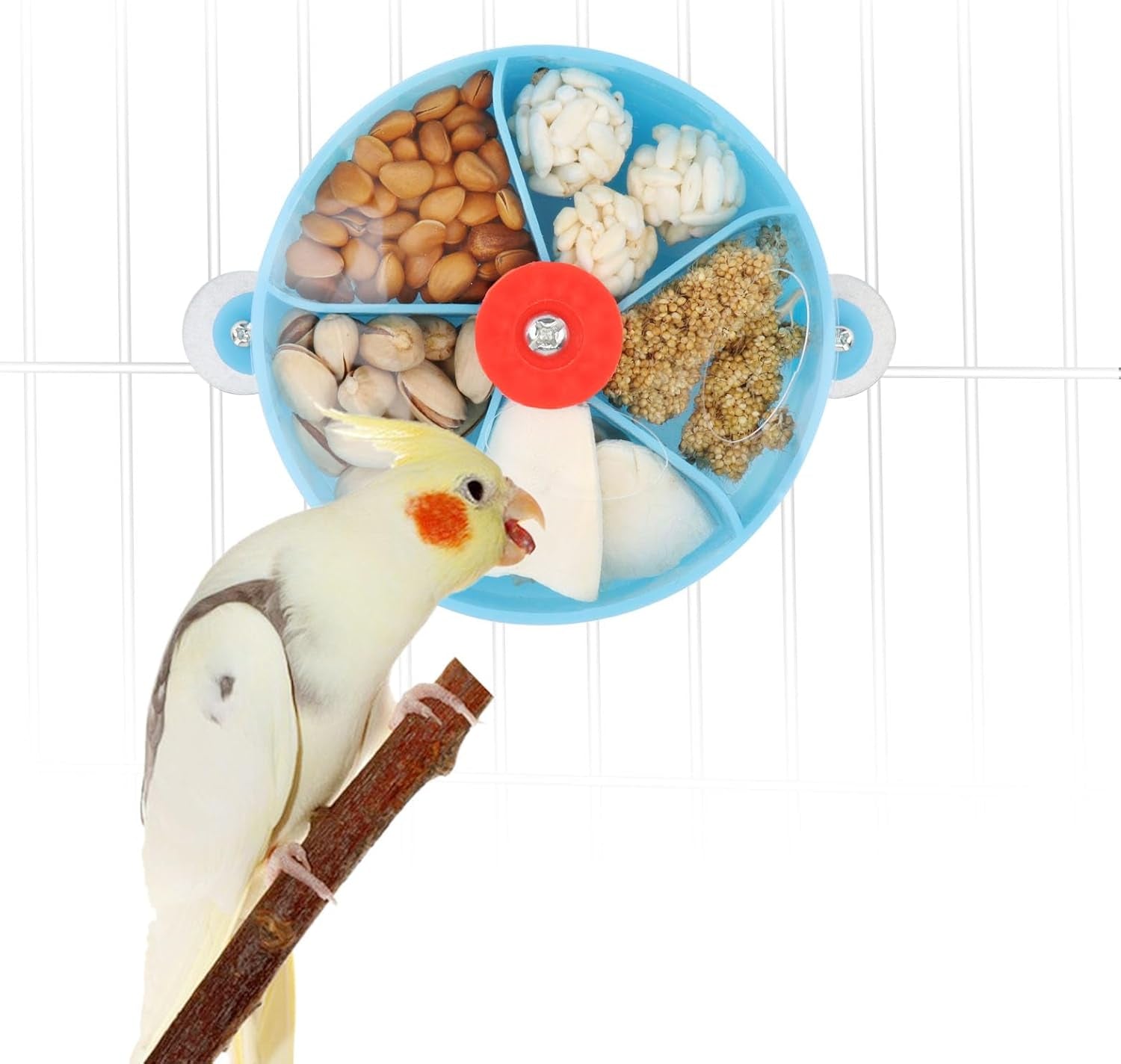 Bird Creative Foraging System Wheel Seed Food Ball Rotate Training Toy