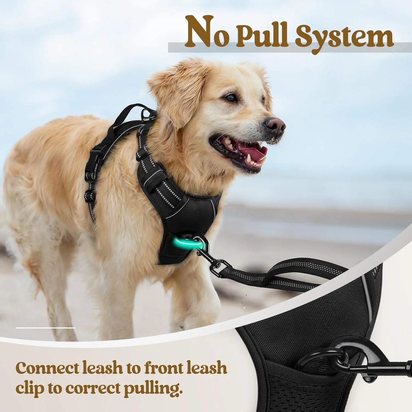 Dog Adjustable Harness