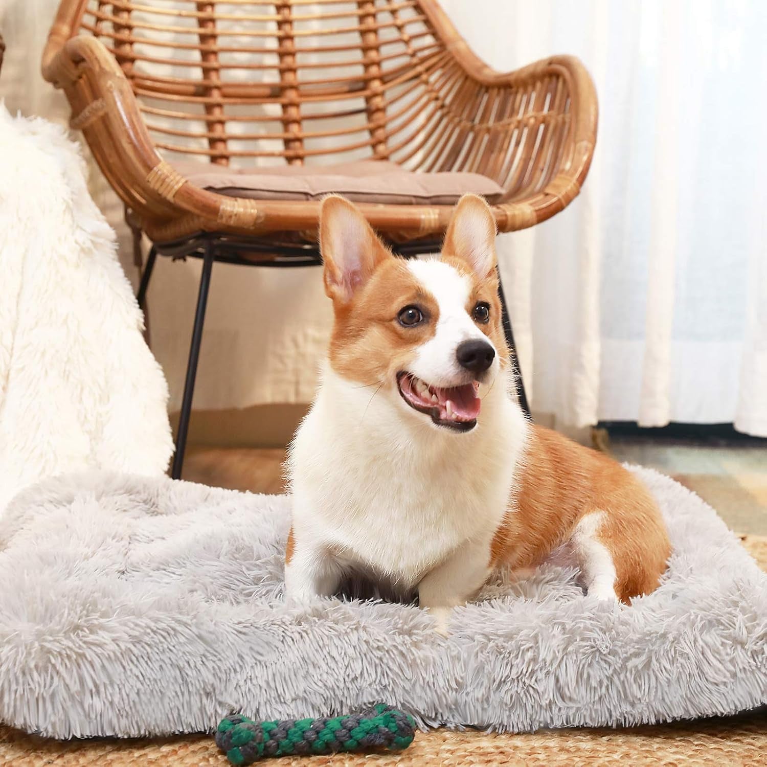 HACHIKITTY Calming Dog Bed Crate Pads