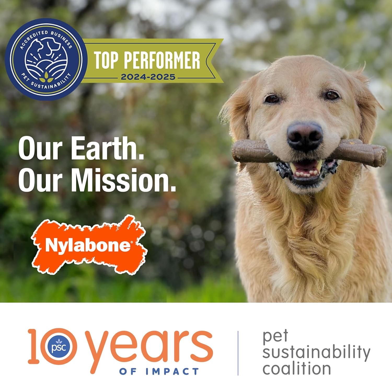 Nylabone Double Action Bone Power Chew Toy for Dogs