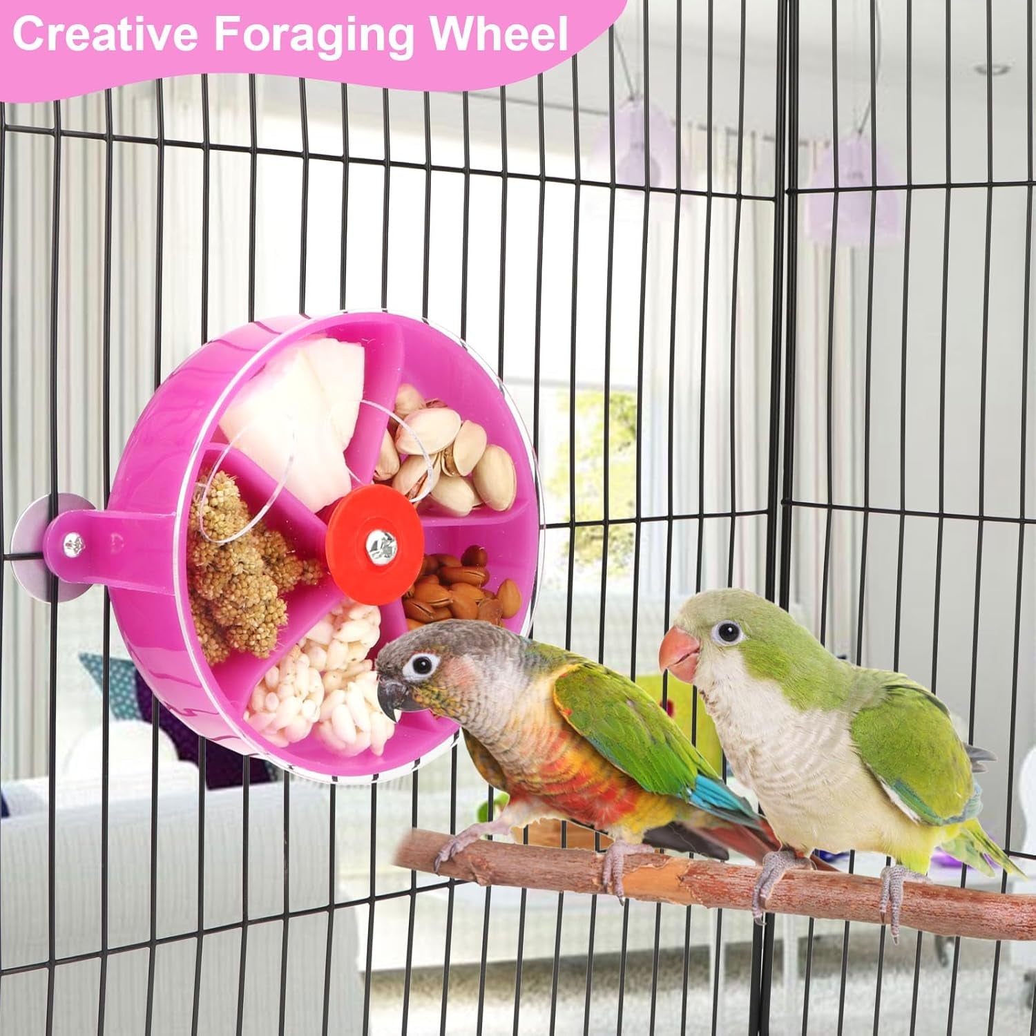 Bird Creative Foraging System Wheel Seed Food Ball Rotate Training Toy