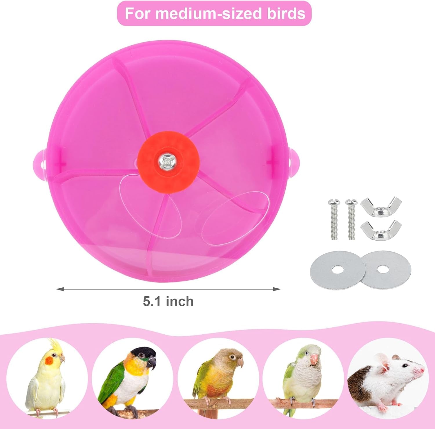 Bird Creative Foraging System Wheel Seed Food Ball Rotate Training Toy