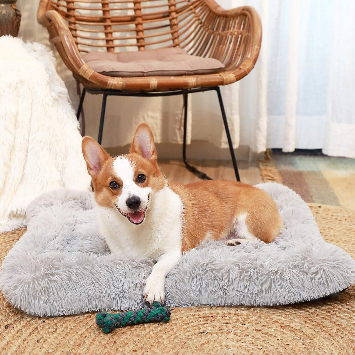 HACHIKITTY Calming Dog Bed Crate Pads