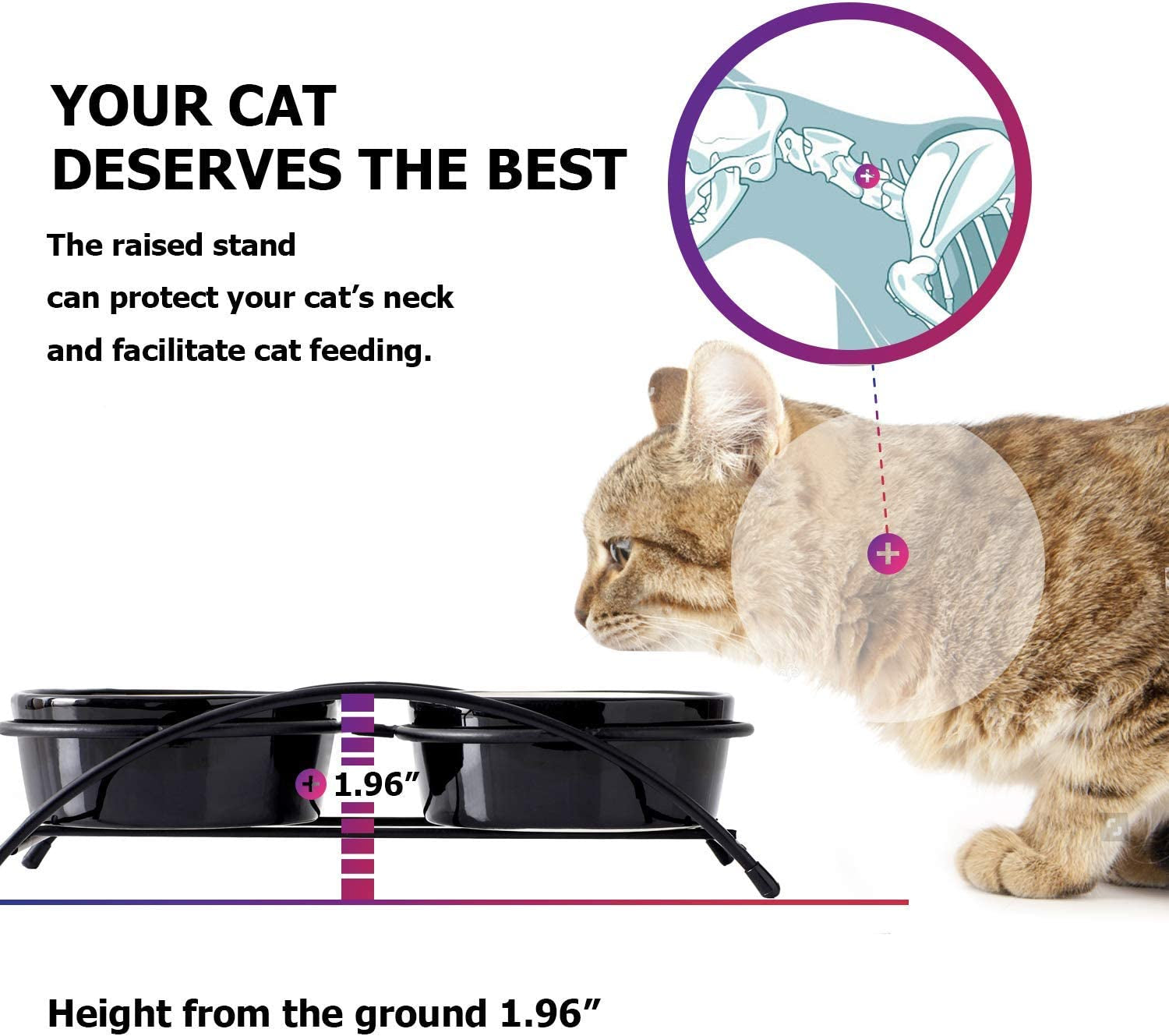 Ceramic Pet Food Bowls for Cats or Small Dogs