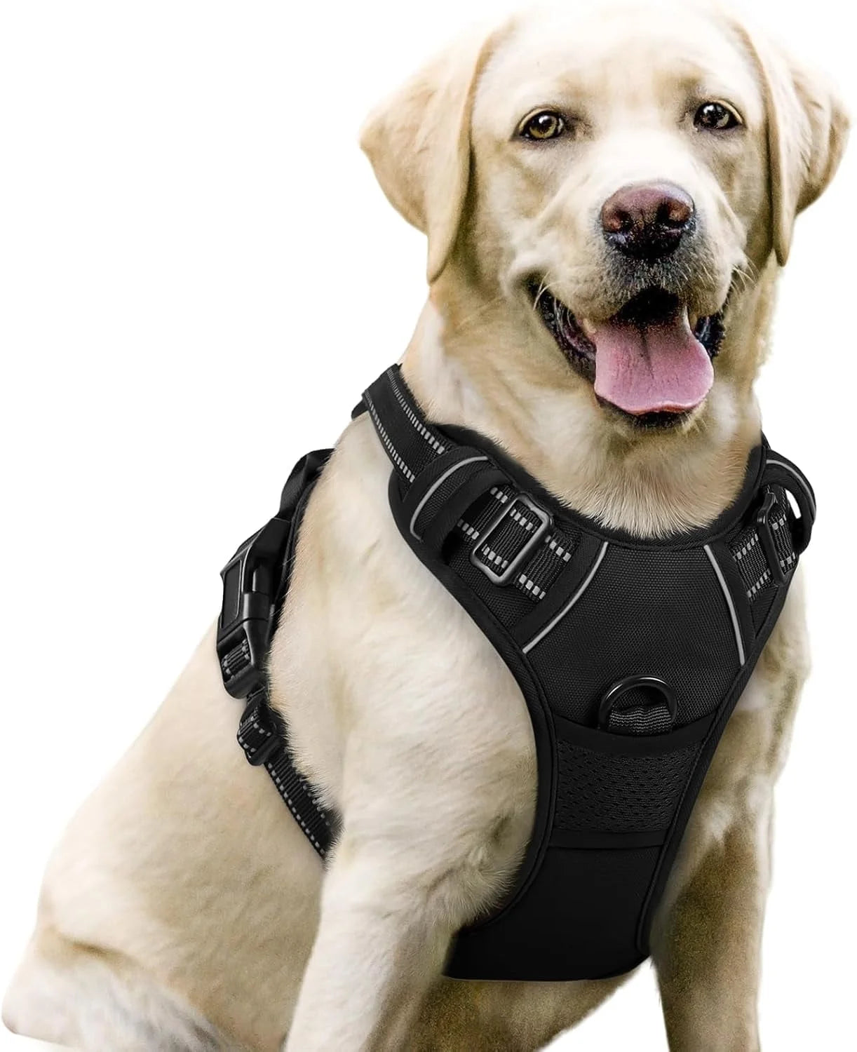 Dog Adjustable Harness