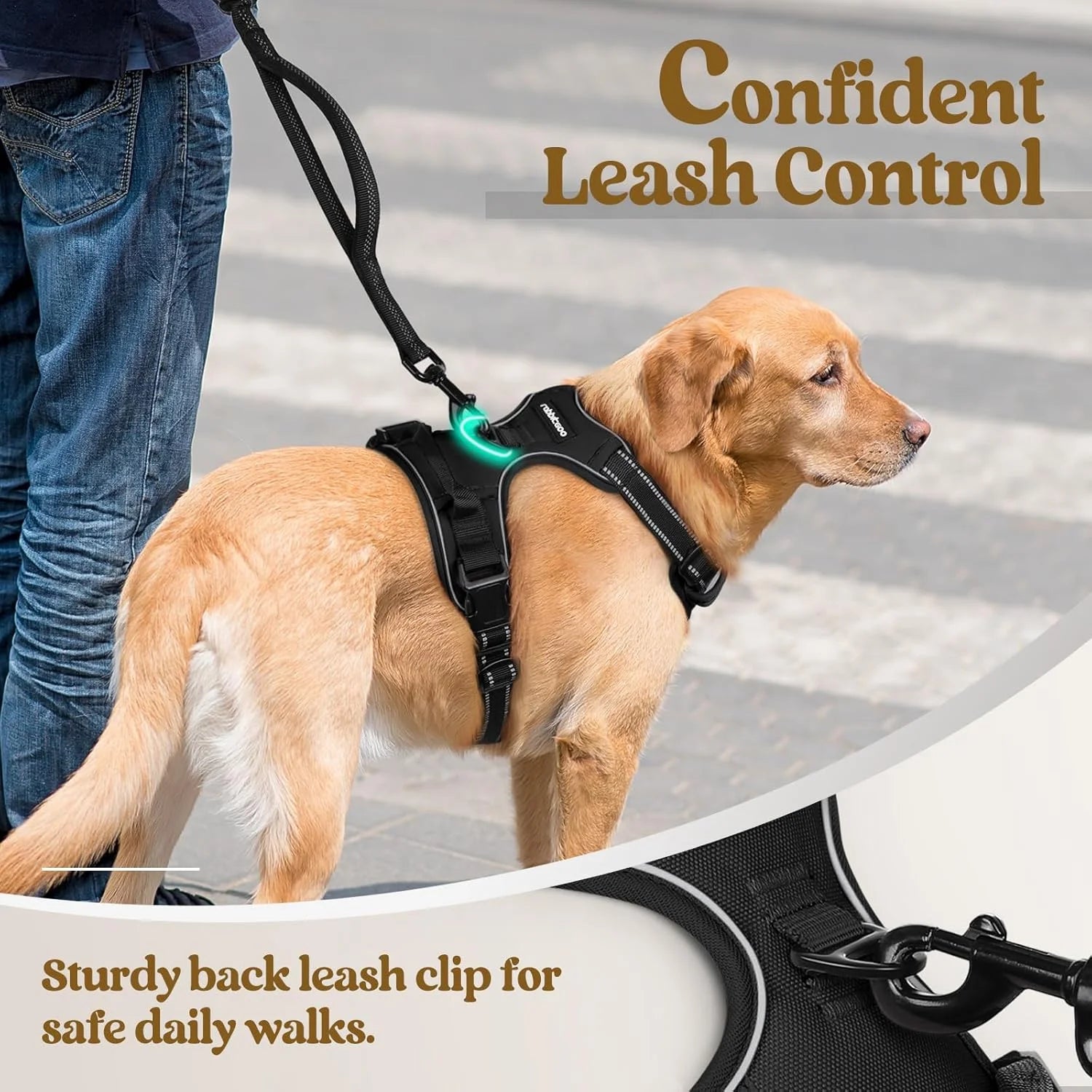 Dog Adjustable Harness