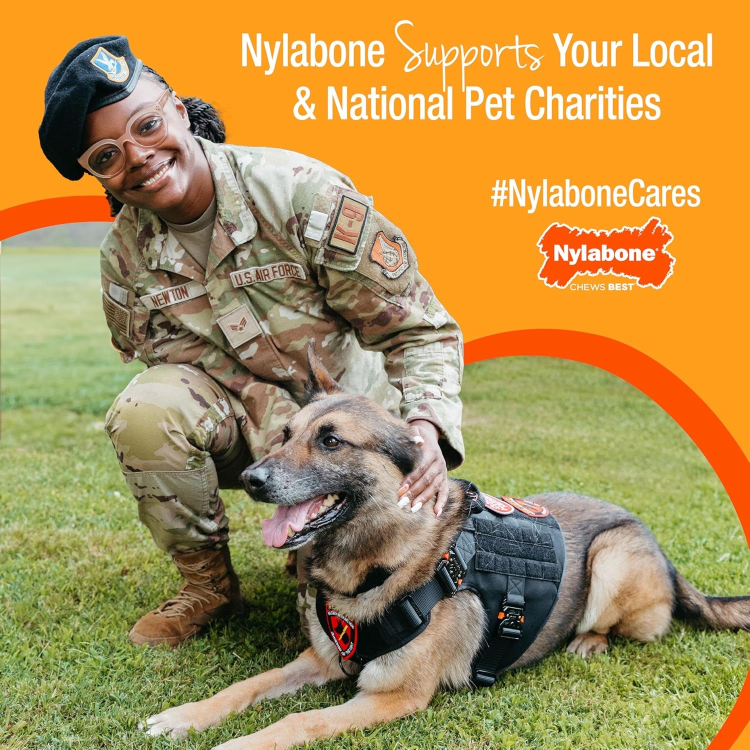 Nylabone Double Action Bone Power Chew Toy for Dogs