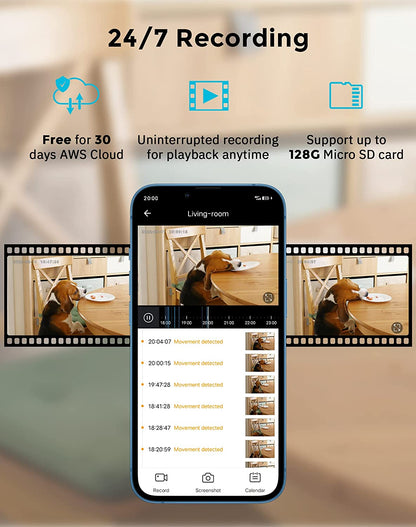 Home Security Camera System with Motion Detection