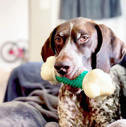 Nylabone Double Action Bone Power Chew Toy for Dogs