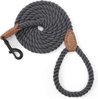 Mile High Life Dog Leash